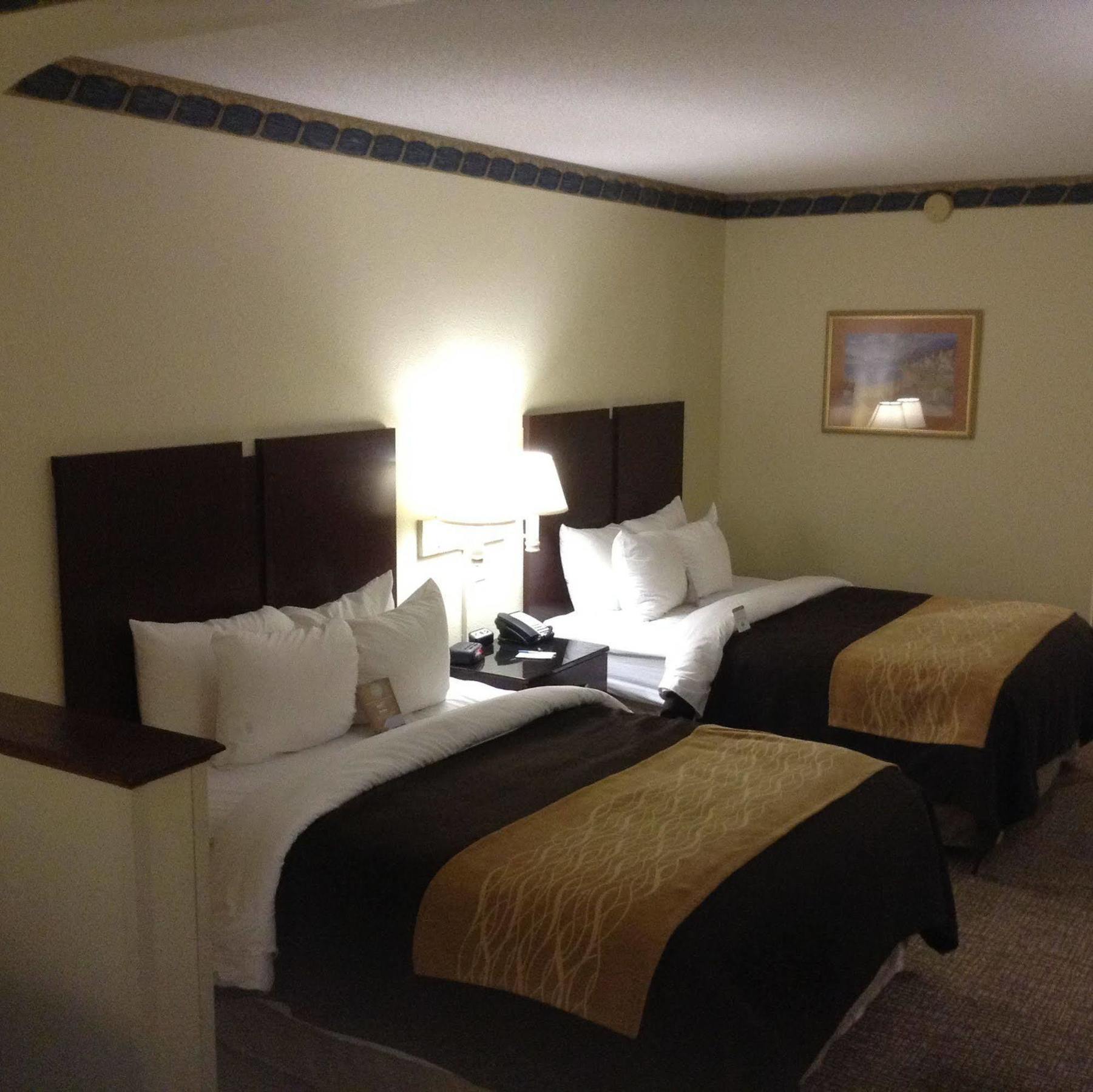 Comfort Inn & Suites Ftjackson Maingate Columbia Bagian luar foto