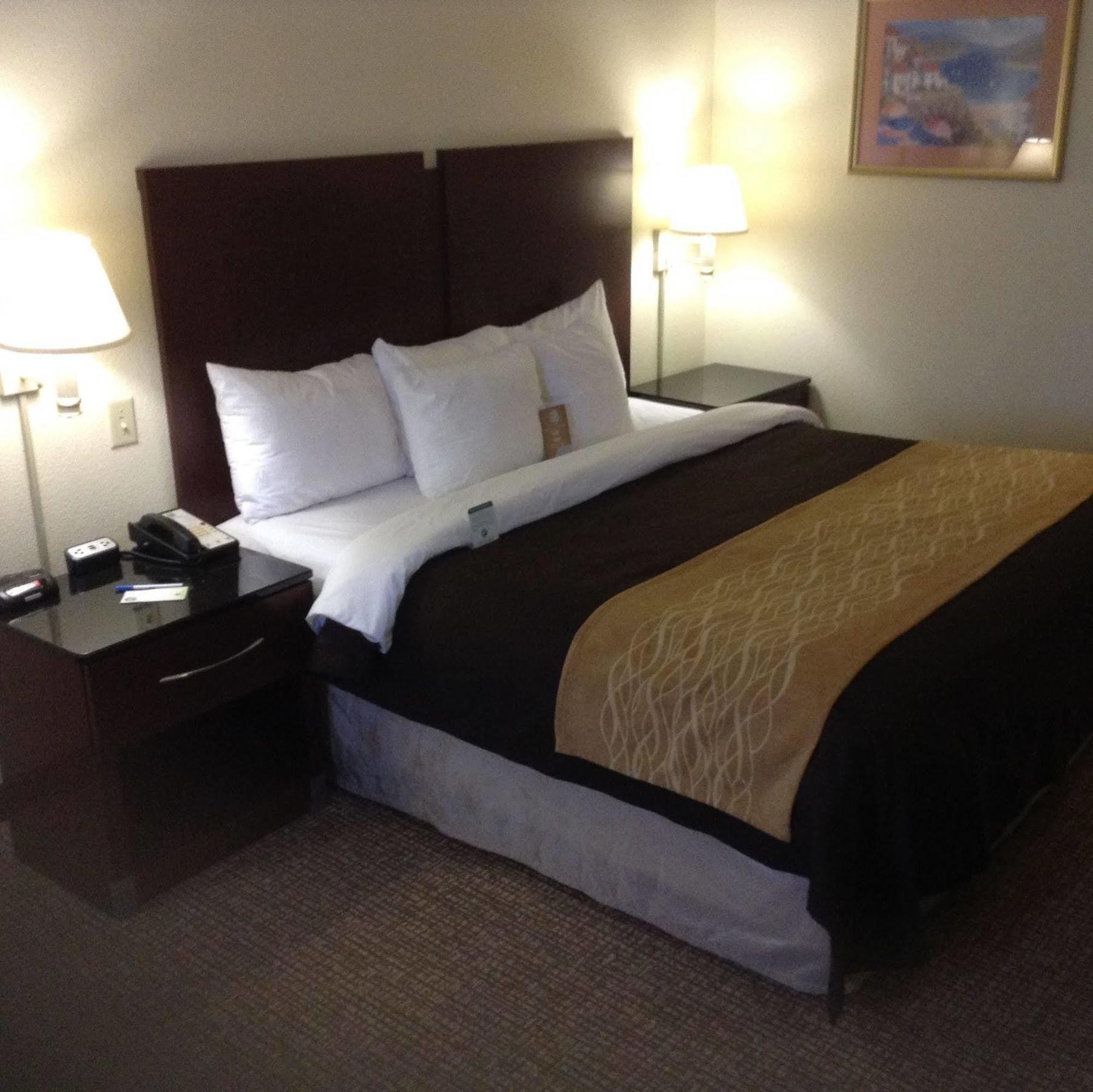 Comfort Inn & Suites Ftjackson Maingate Columbia Bagian luar foto